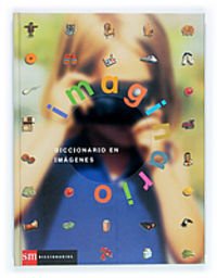 DICCIONARIO IMAGINARIO (SIN COLECCION)