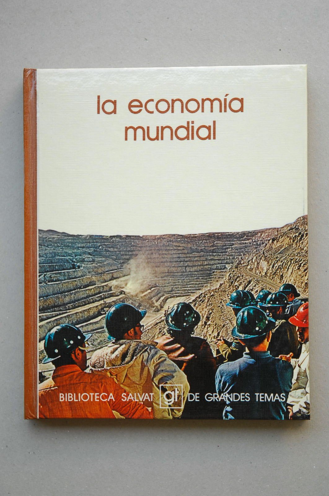 La economía mundial / [texto de José María Vidal Villa]