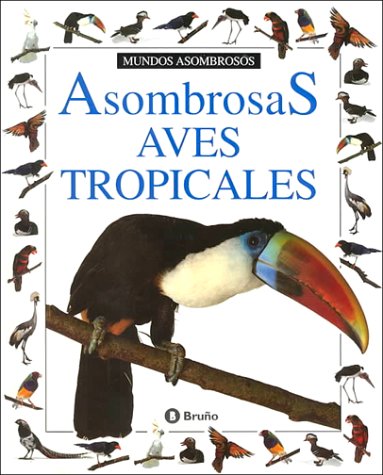 ASOMBROSAS AVES TROPICALES (ASOMBROSOS OSOS)