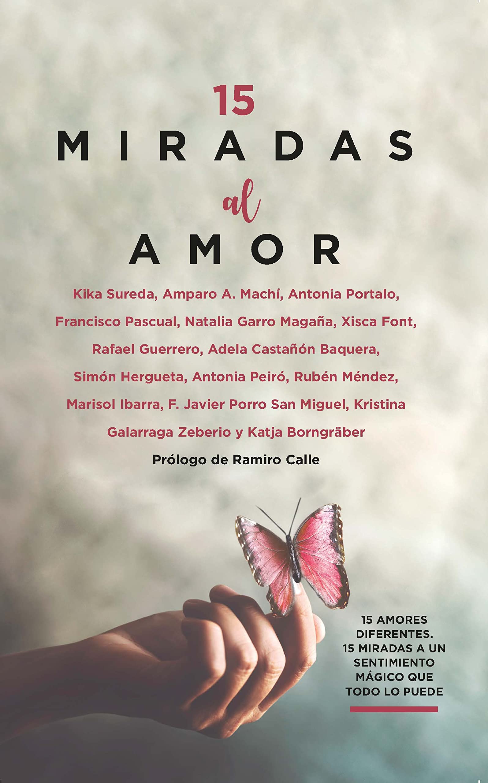 15 miradas al amor (Estilo de vida)