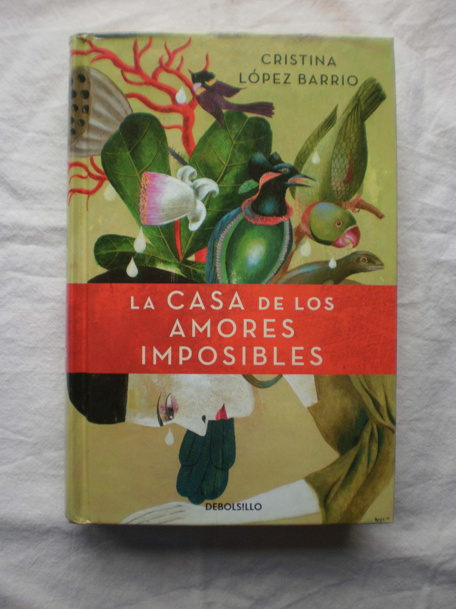 La casa de los amores imposibles (CAMPAÑAS)