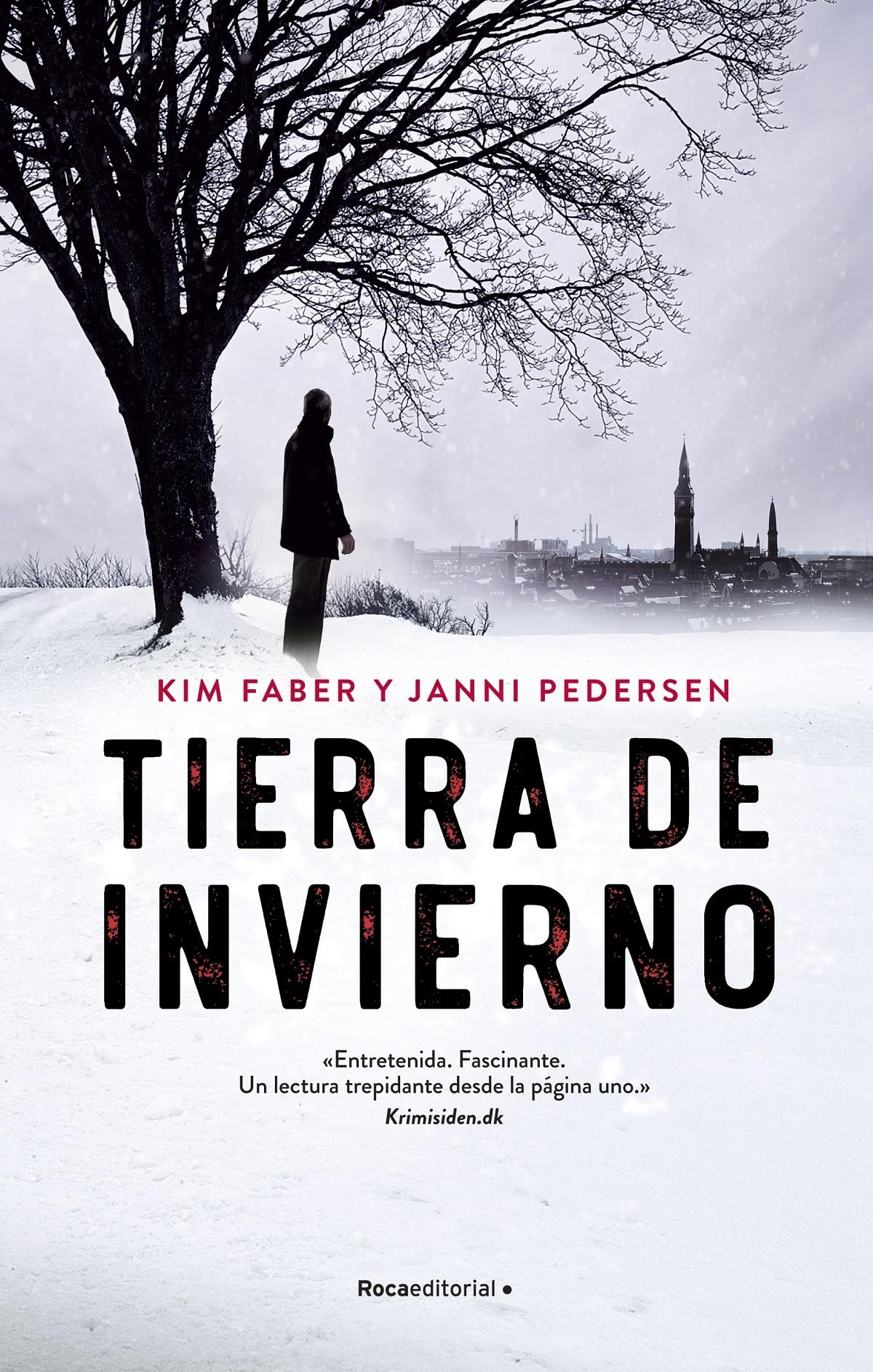 Tierra de invierno (Thriller y Suspense)