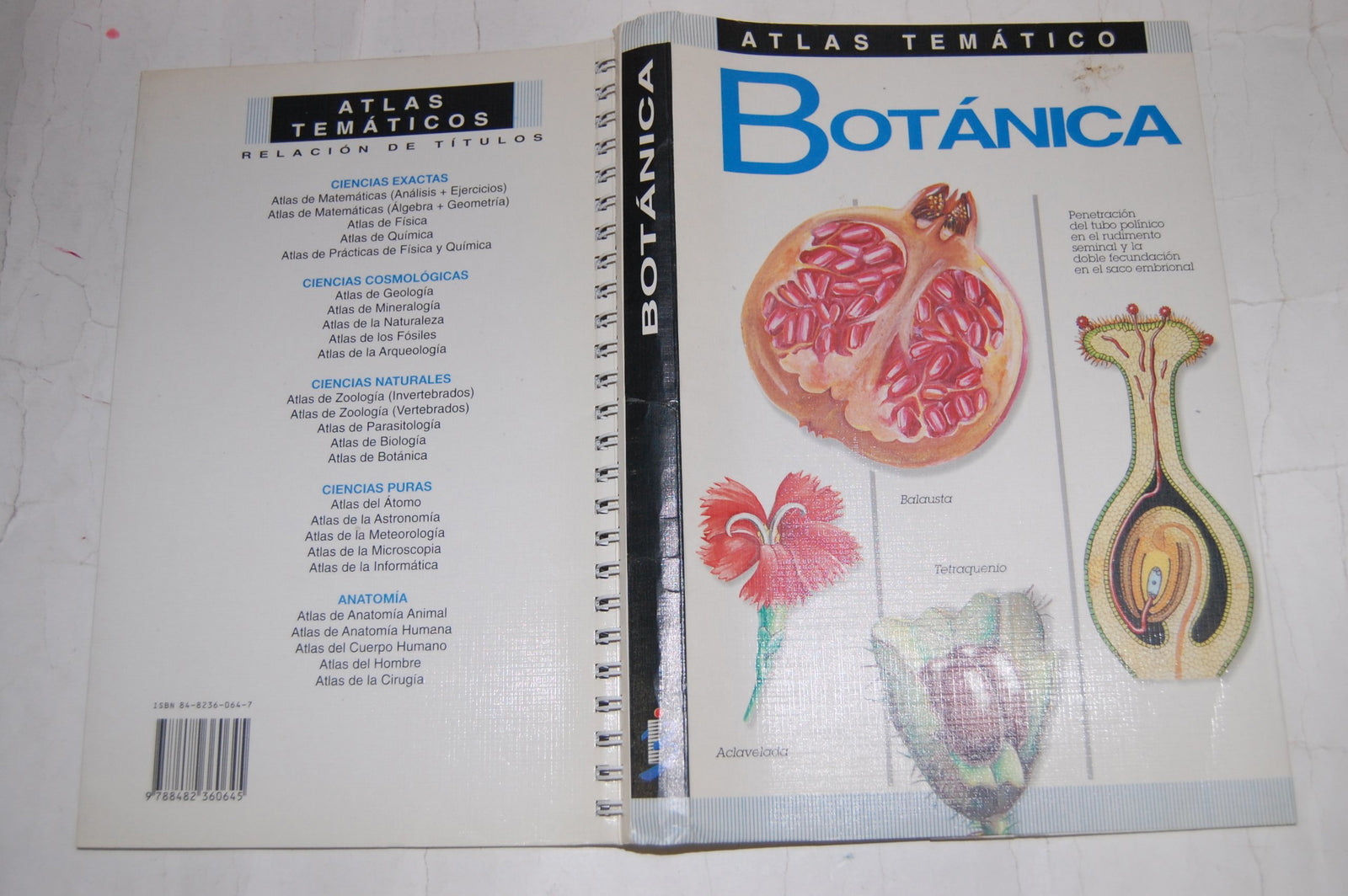 Atlas tematico botanica