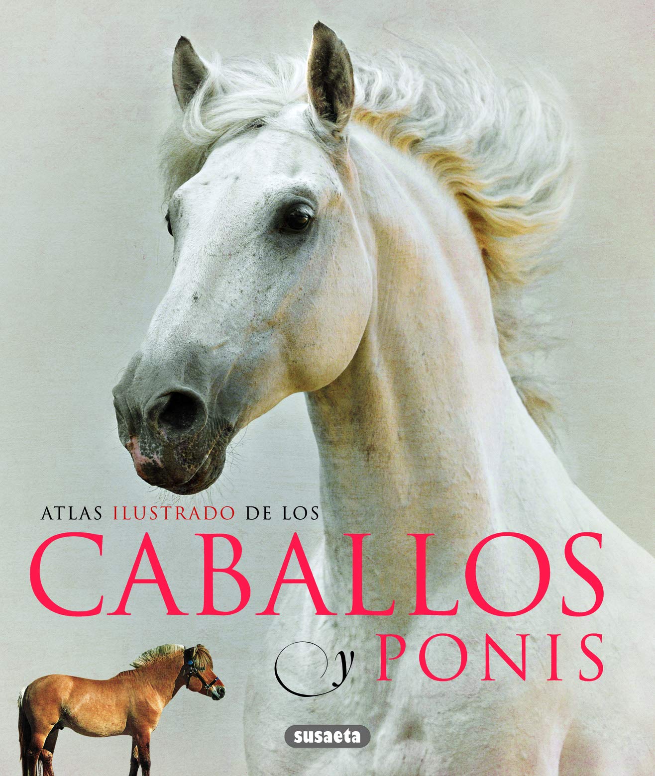Caballos y ponis