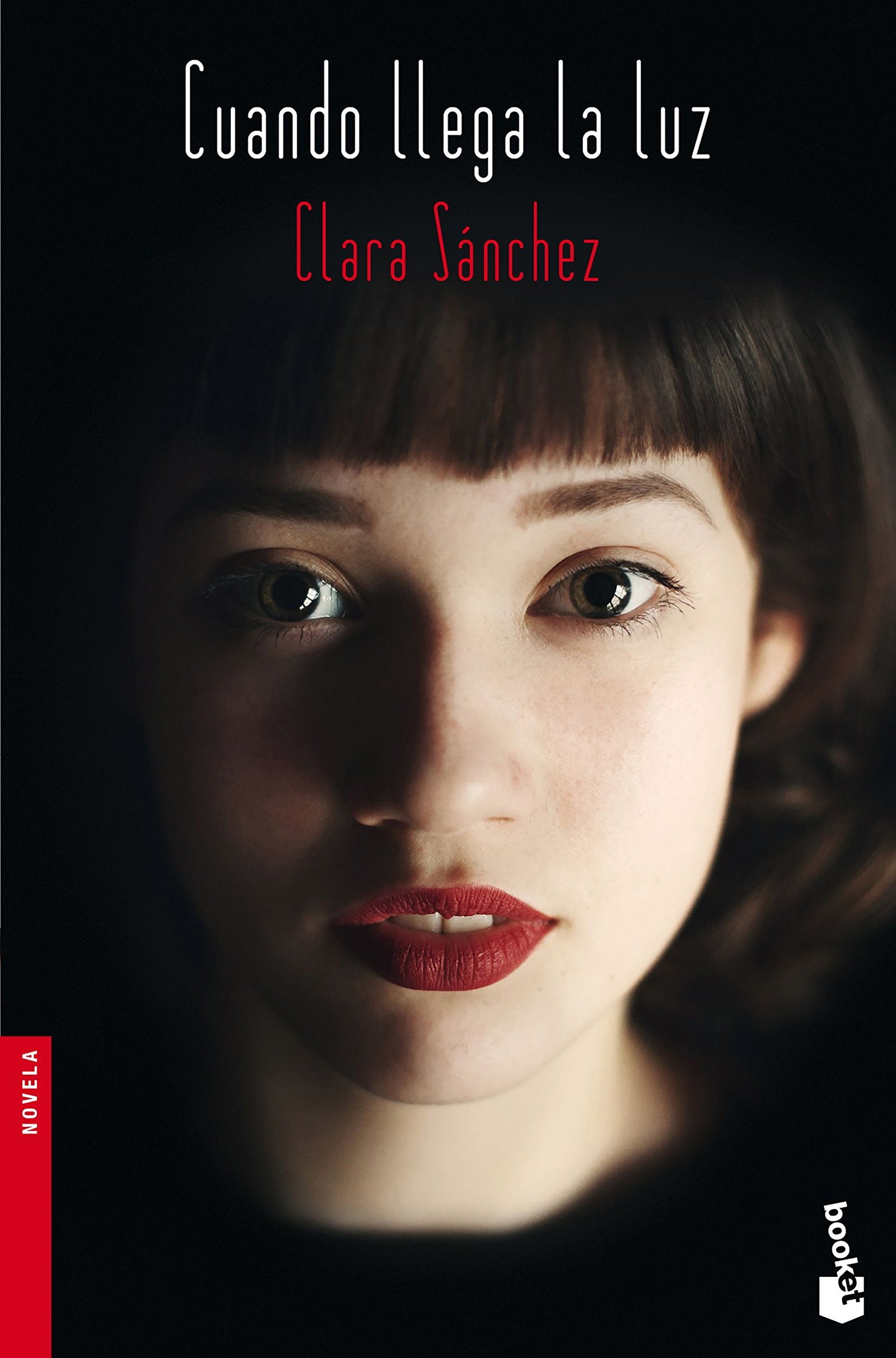 Cuando llega la luz (Novela)