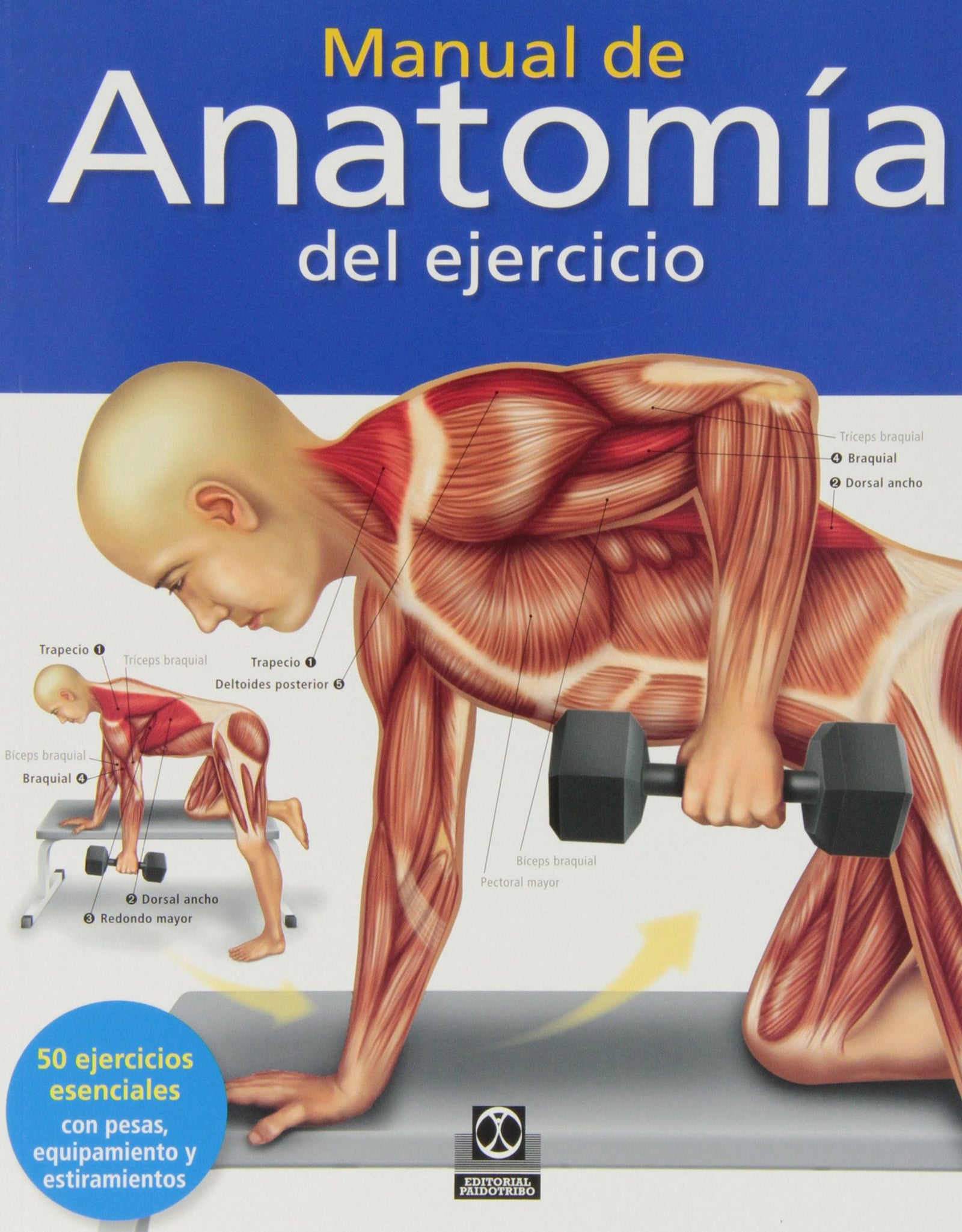 Manual de anatomía del ejercicio (Color) (Deportes)