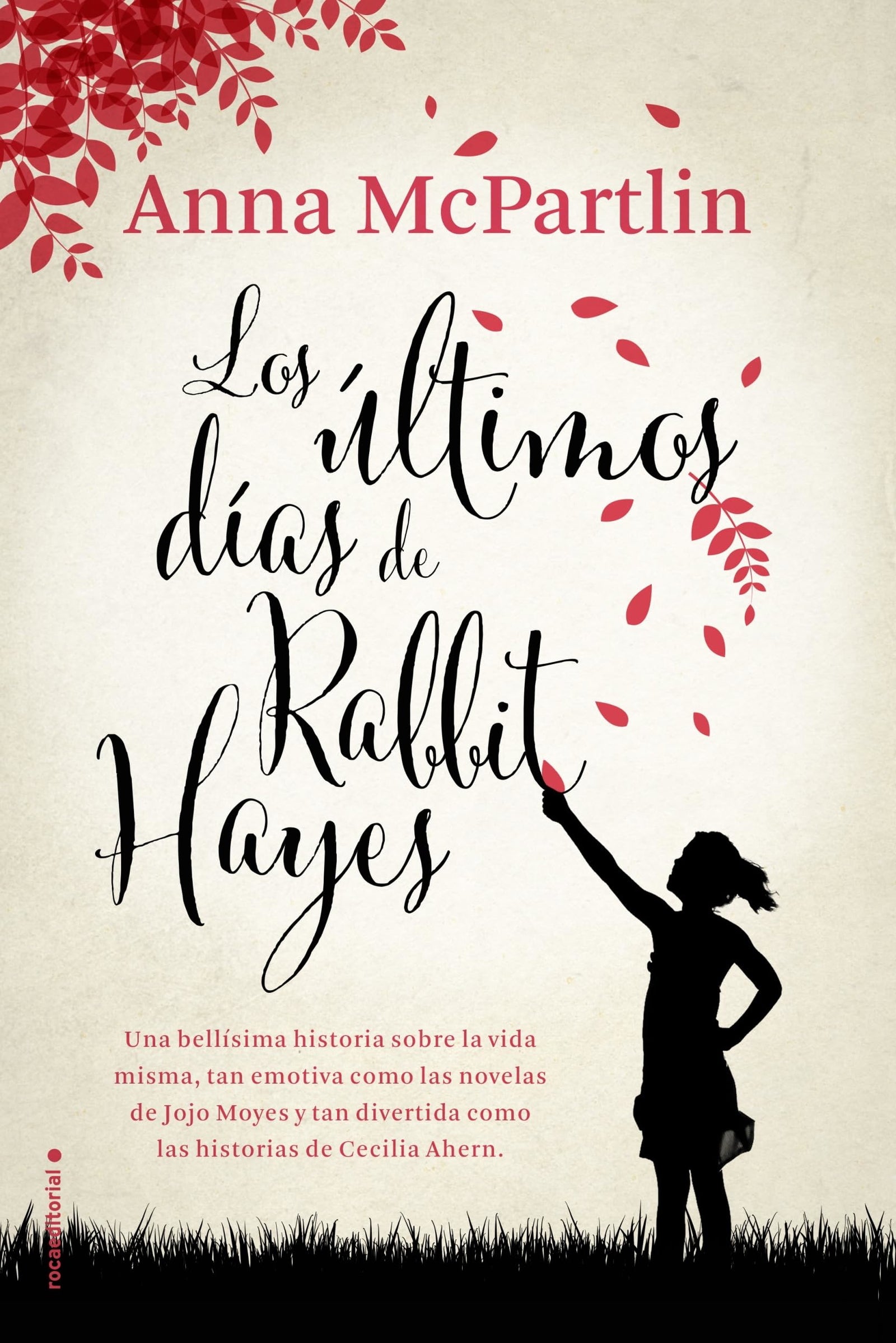 Los últimos días de Rabbit Hayes (Novela)