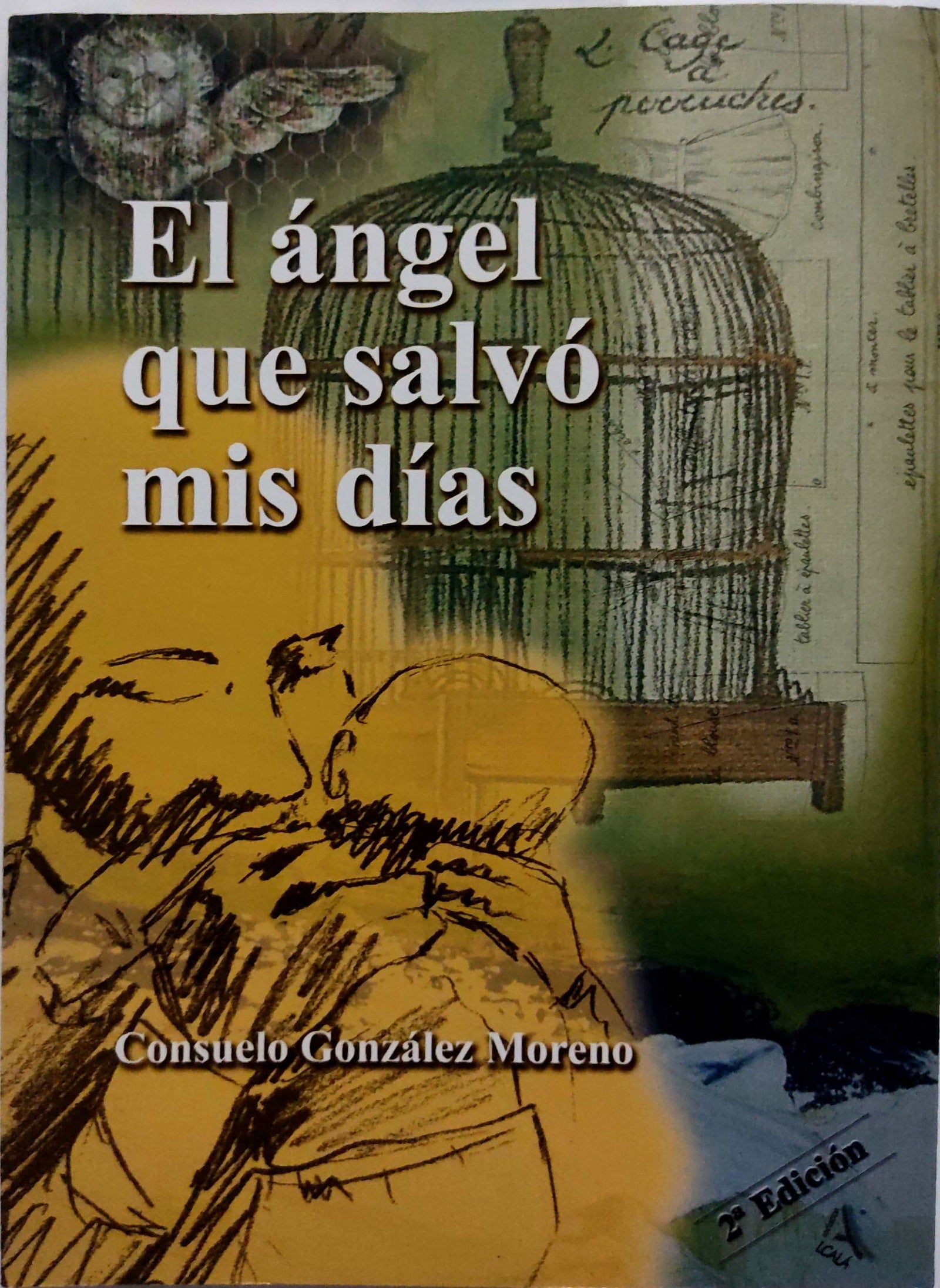 Angel Que Salvo Mis Dias
