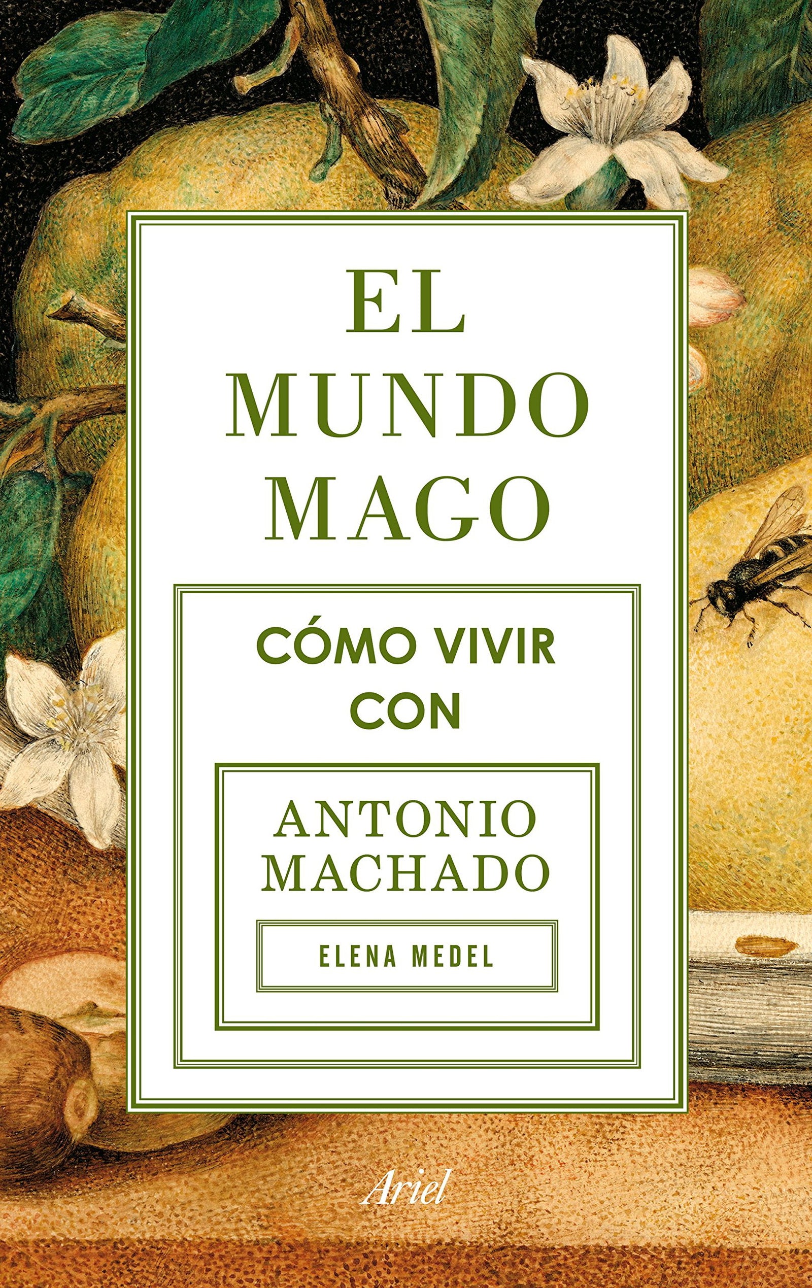 El mundo mago: Cómo vivir con Antonio Machado