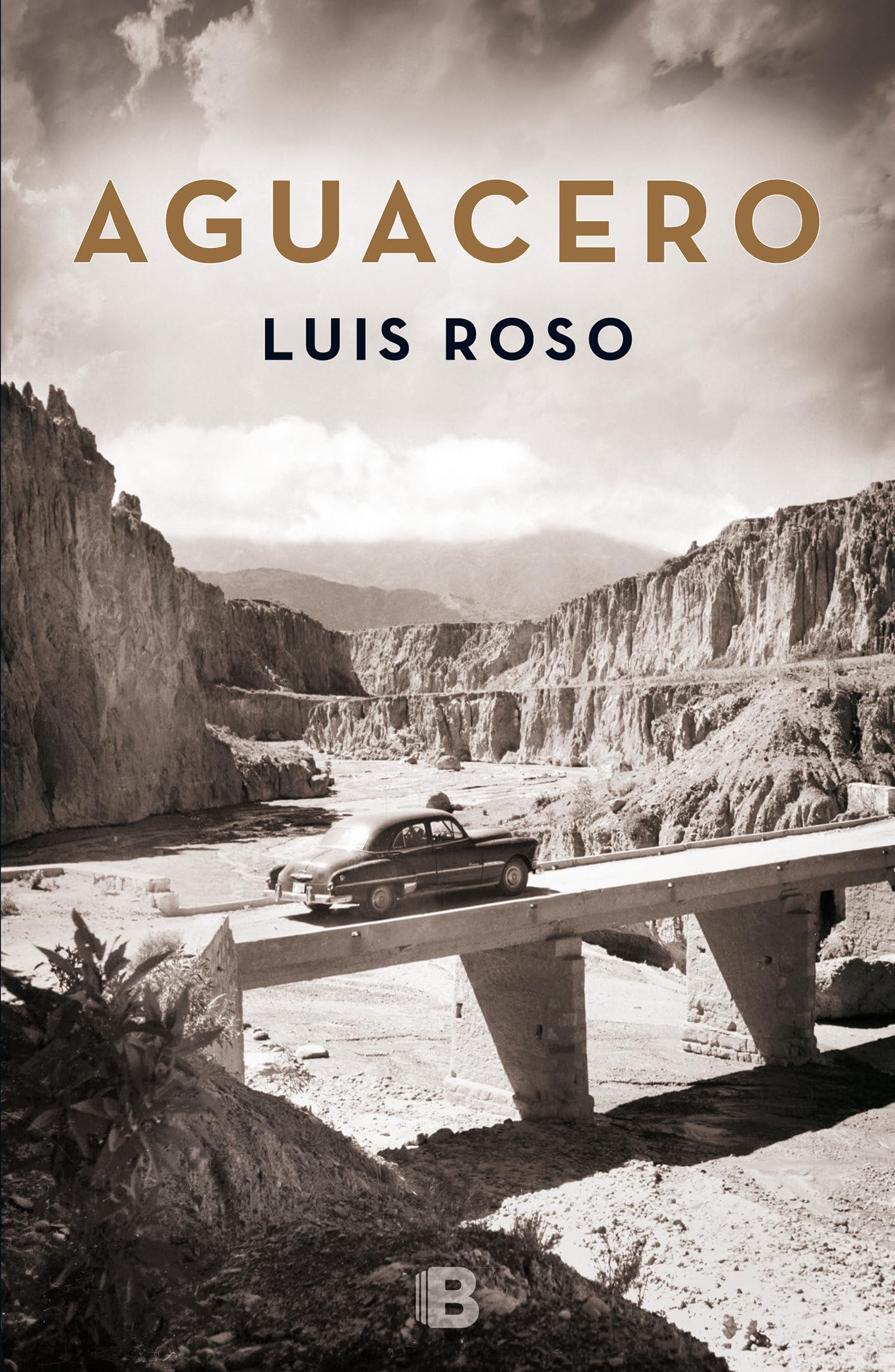 Aguacero (Inspector Trevejo 1) (La Trama)