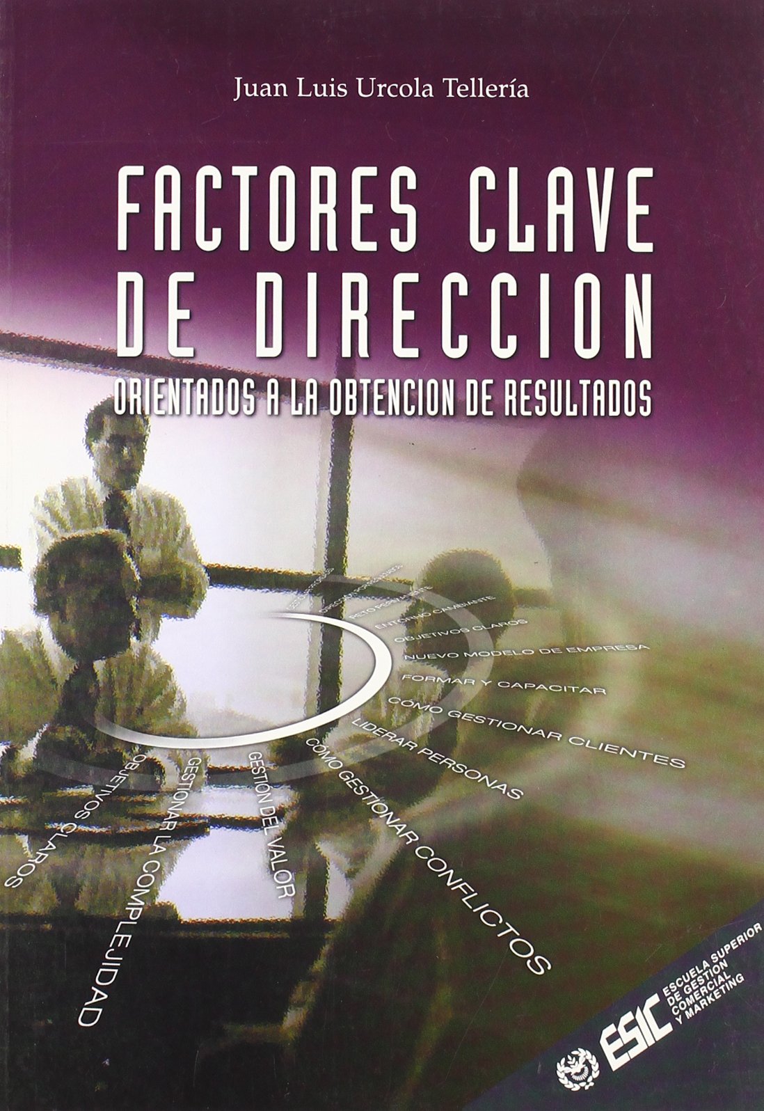 Factores clave de dirección: Orientados a la obtención de resultados (Libros profesionales)