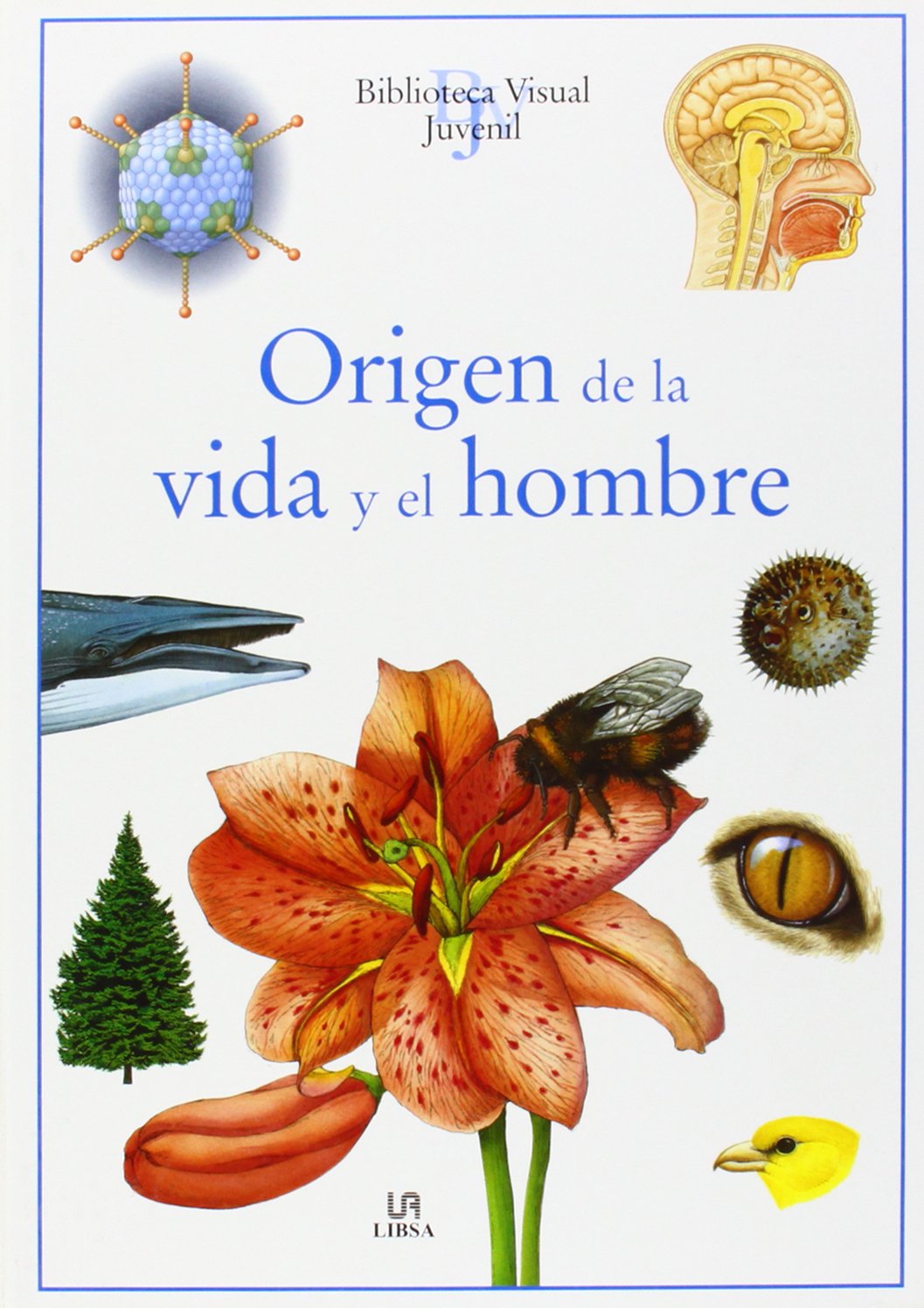 Origen de la Vida y el Hombre (Biblioteca Visual Juvenil)