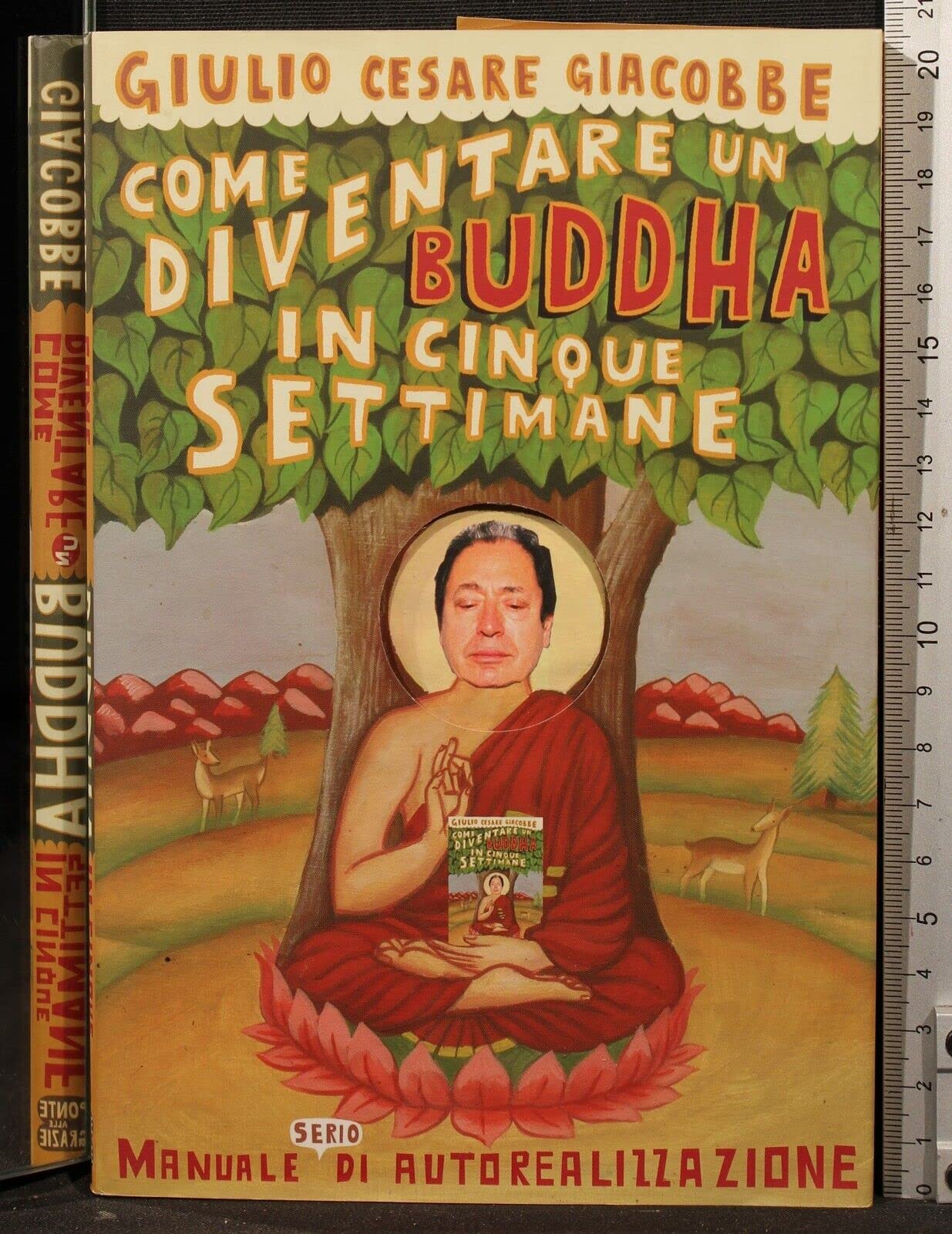 Come diventare un Buddha in cinque settimane. Manuale serio di autorealizzazione