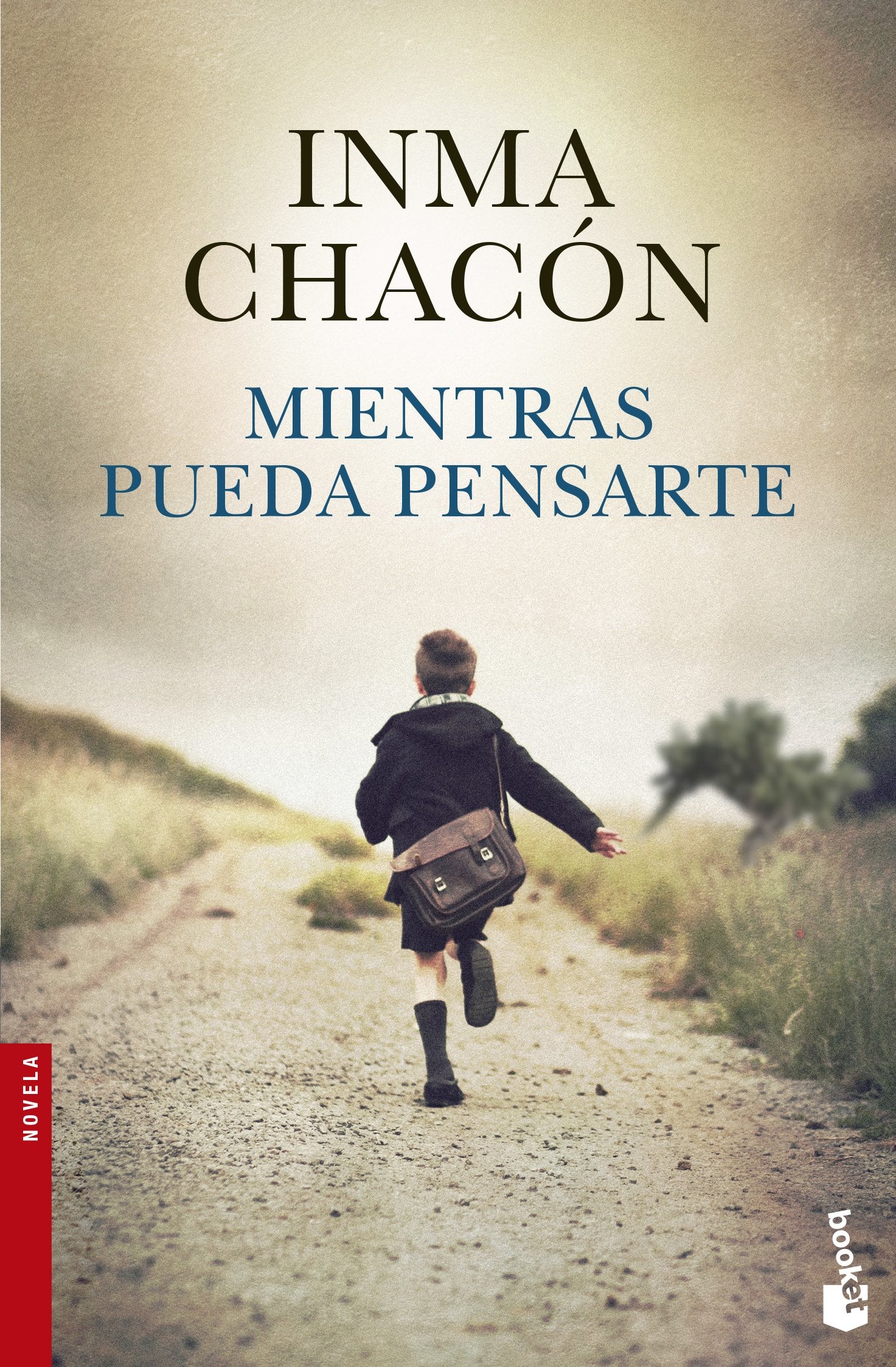 Mientras pueda pensarte (Novela)