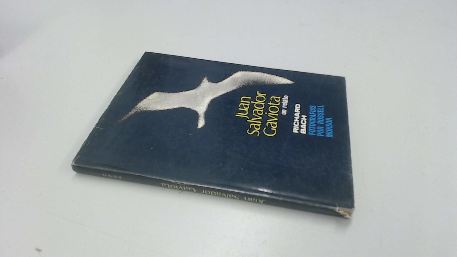 Juan Salvador Gaviota
