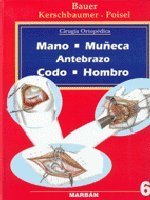Mano, muñeca, antebrazo, codo y hombro