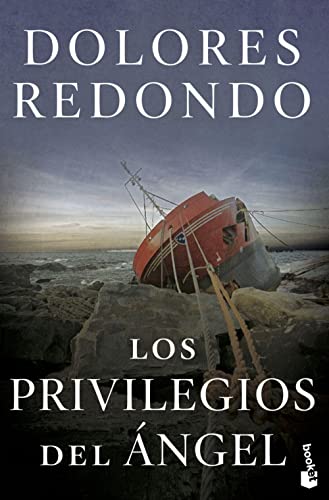 Los privilegios del ángel (Novela)