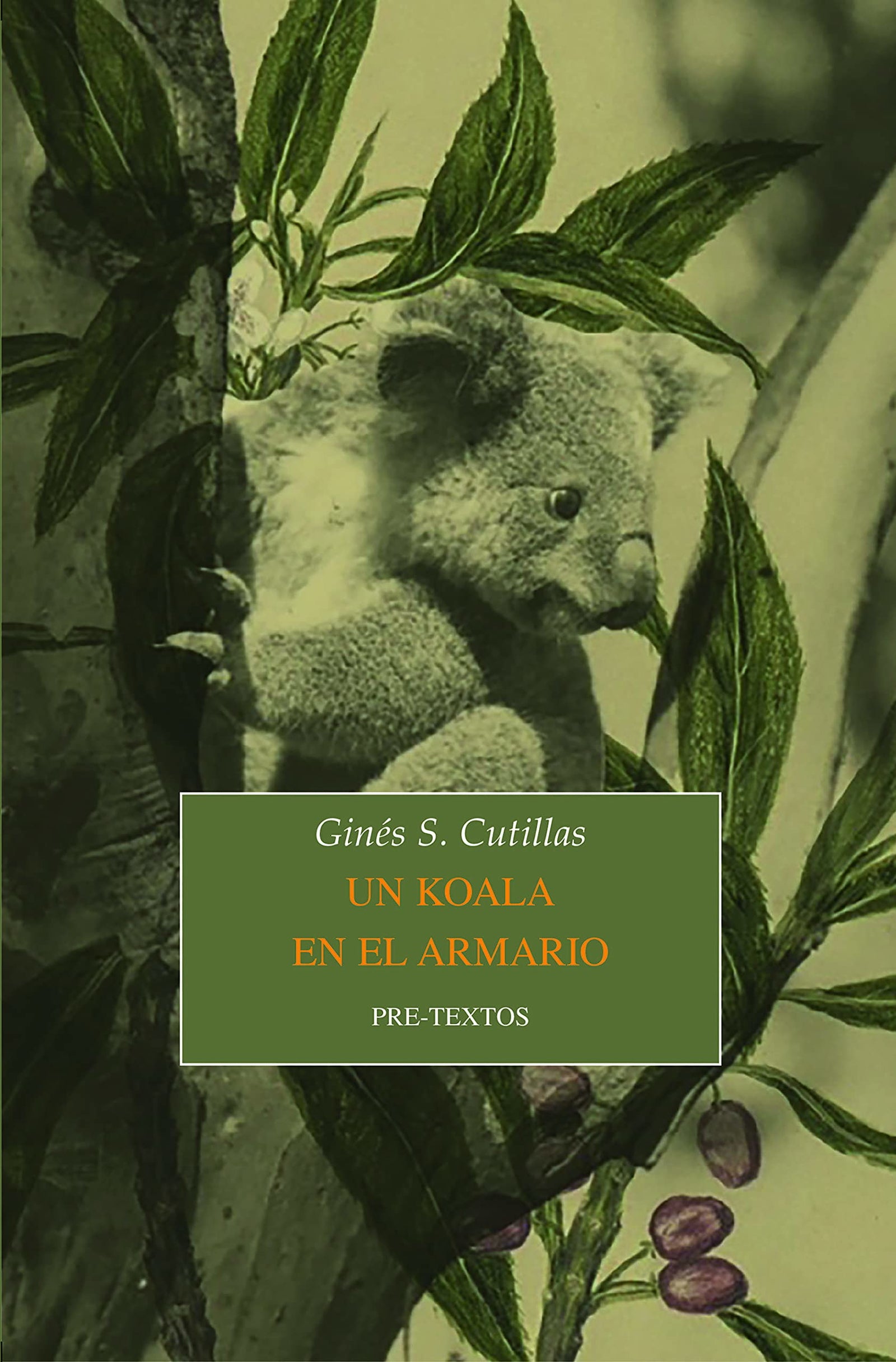 Un koala en el armario: 1692 (Narrativa)
