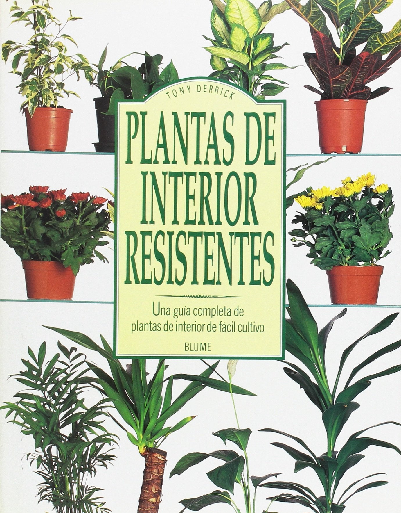 Plantas de Interior Resistentes