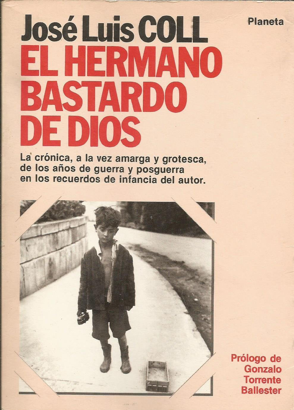 Hermano bastardo de dios, el