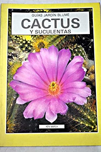 Cactus y suculentas