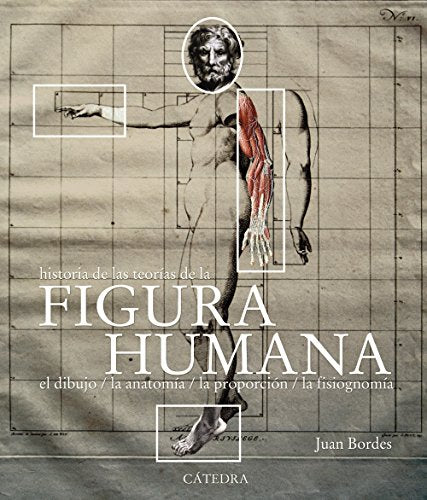 Figura humana (Varios)
