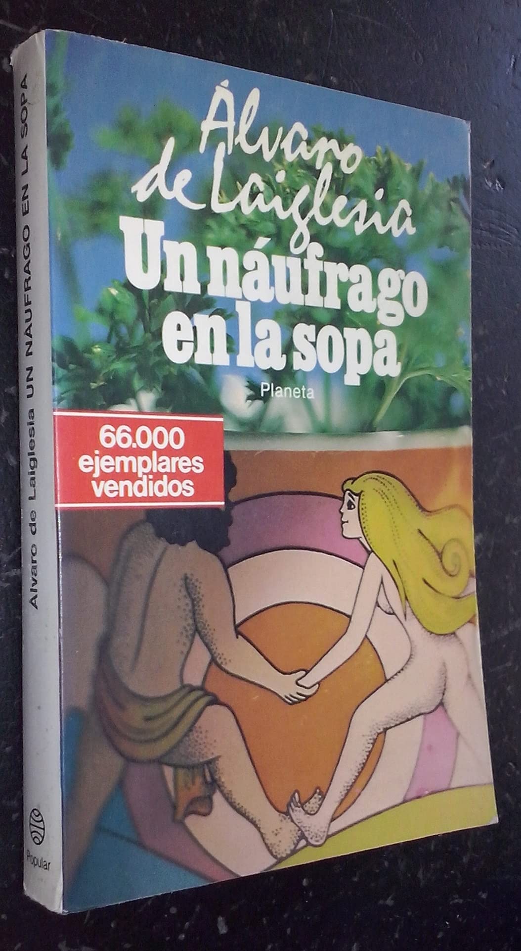 Un Náufrago en la Sopa