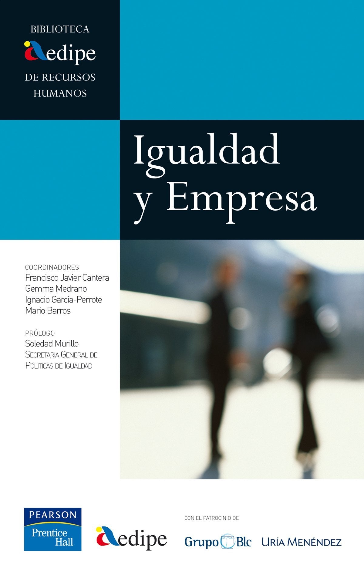 Aedipe: igualdad y empresa (Biblioteca AEDIPE)