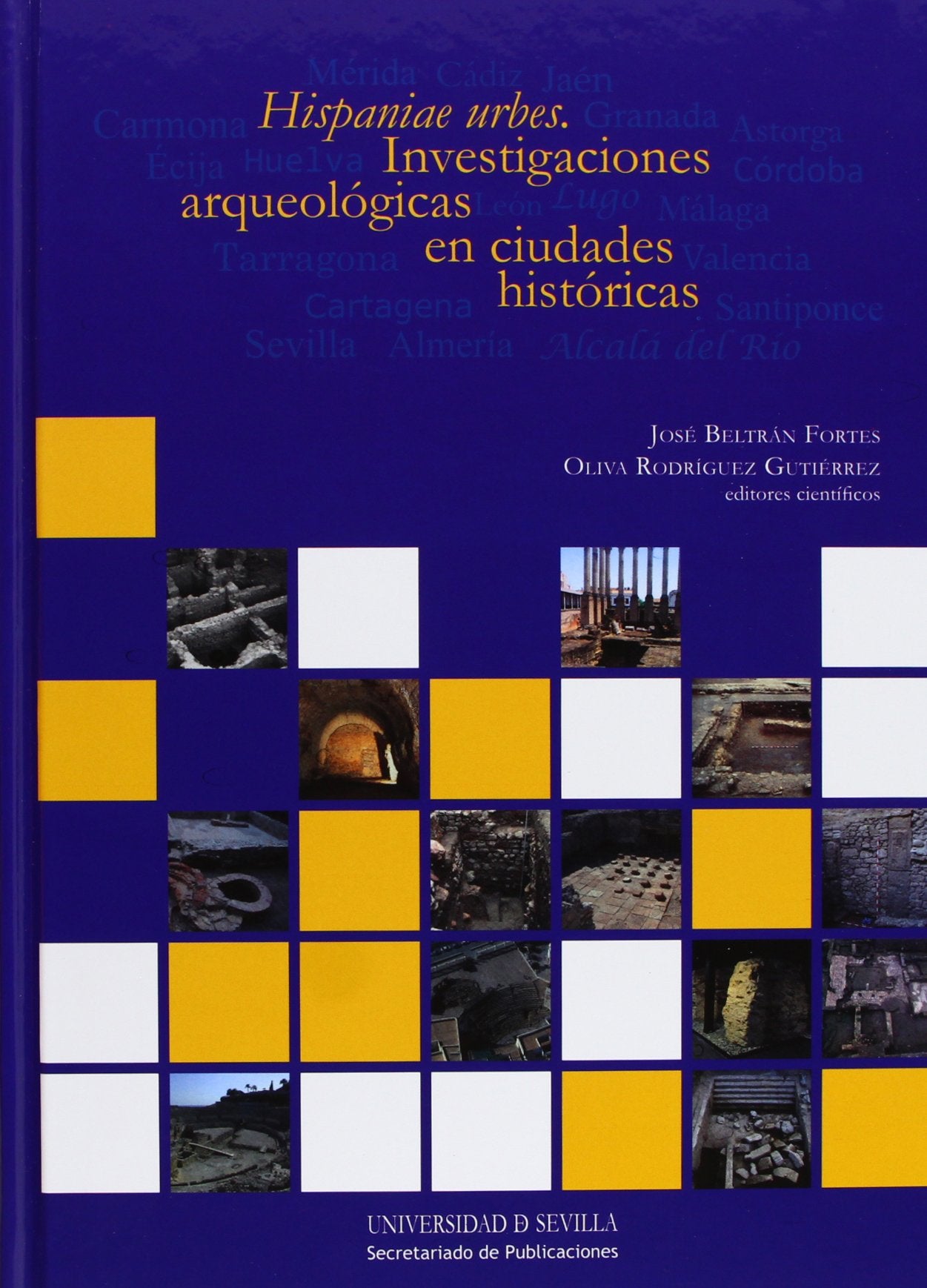 Hispaniae urbes: Investigaciones arqueológicas en ciudades históricas: 203 (Historia y Geografía)