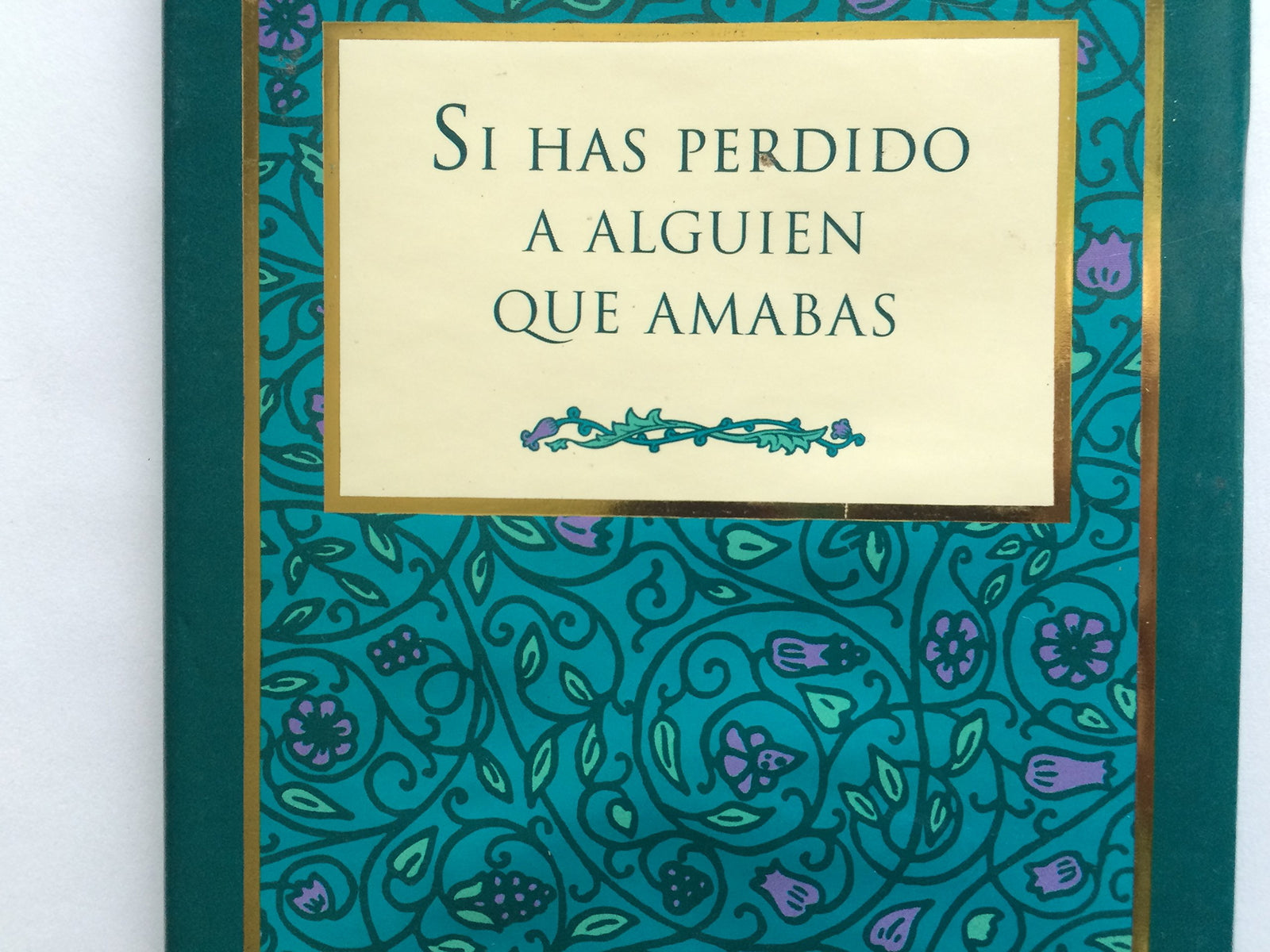 Si Has Perdido a Alguien Que Amabas