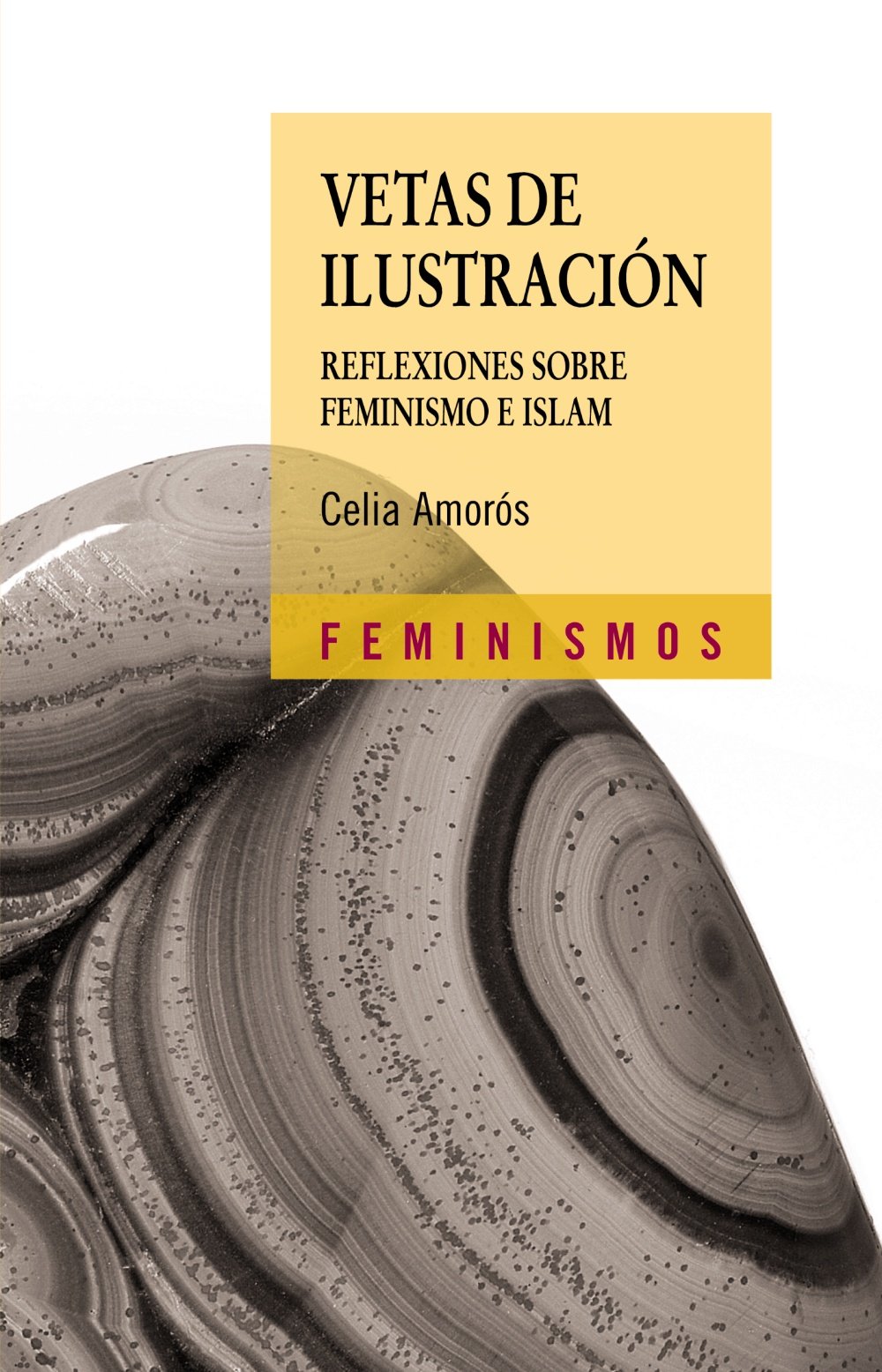 Vetas de Ilustración: Reflexiones sobre feminismo e Islam (Feminismos)