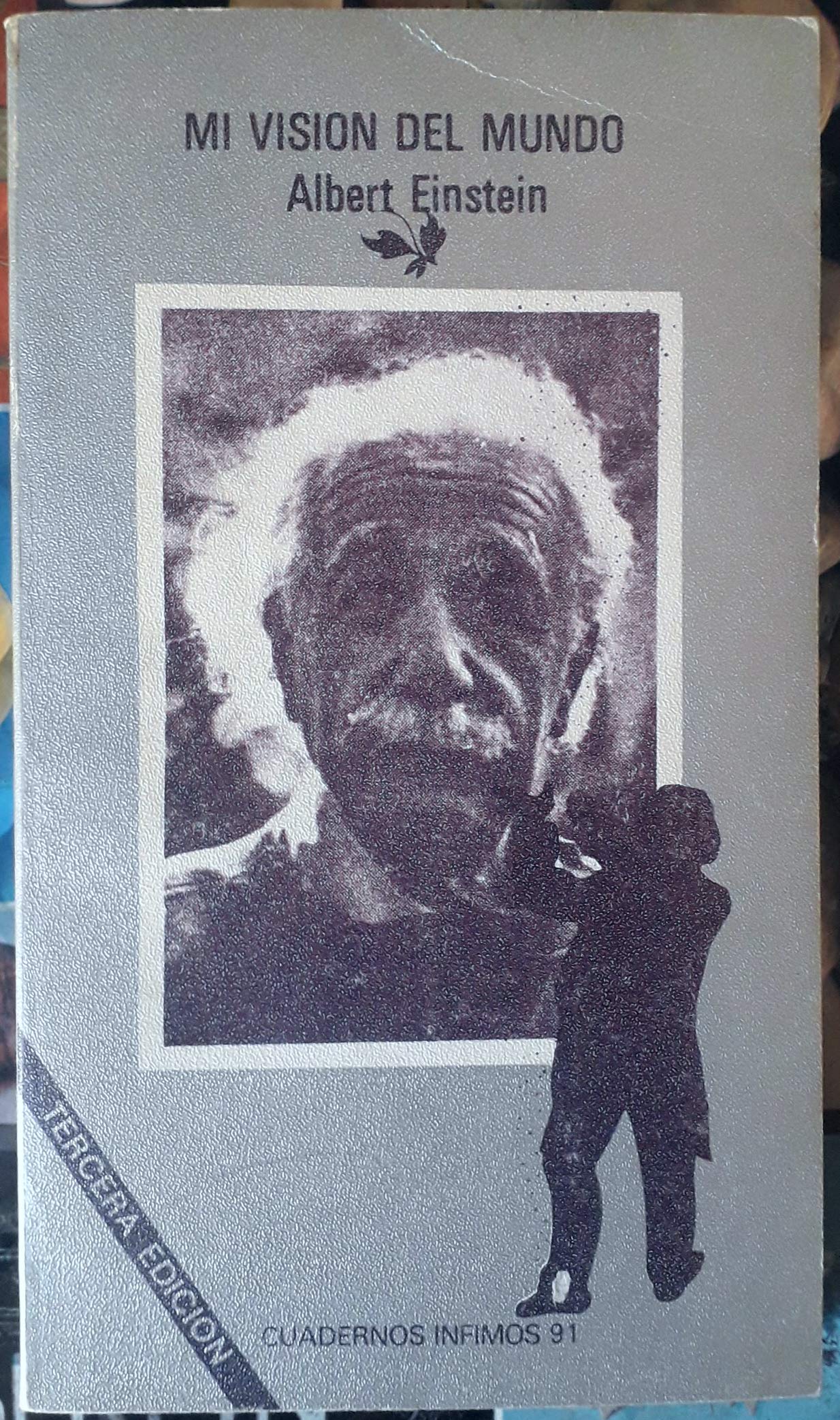 Mi visión del mundo: 91 (Cuadernos Infimos)