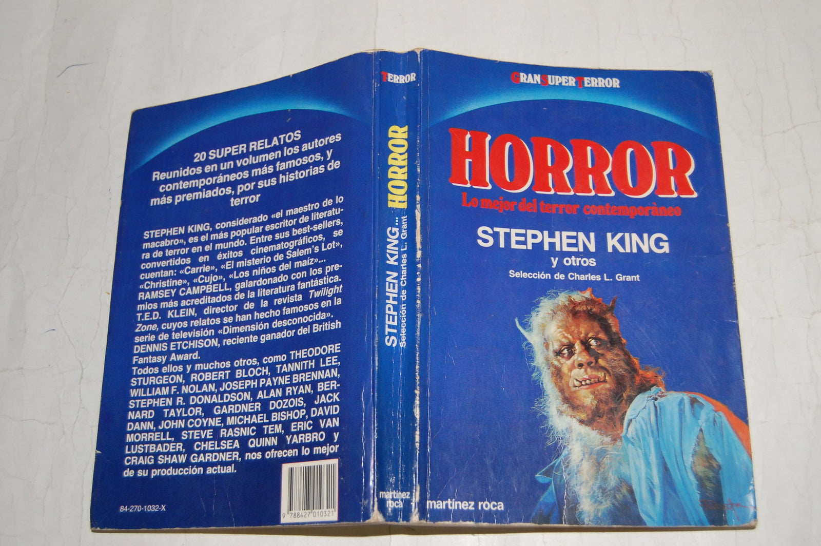 Horror: Lo Mejor Del Terror Contemporaneo/the Dodd, Mead Gallery of Horror