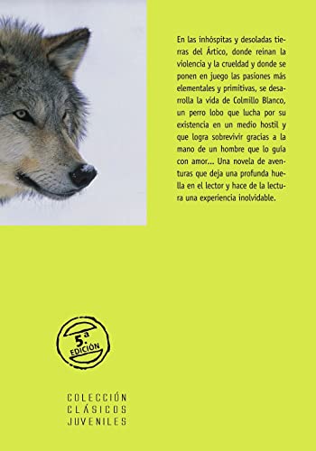 Colmillo Blanco (Castellano - A PARTIR DE 12 AÑOS - CLÁSICOS JUVENILES)