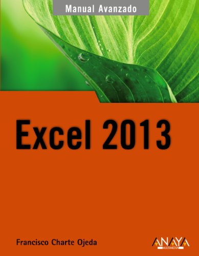 Excel 2013 (MANUALES AVANZADOS)