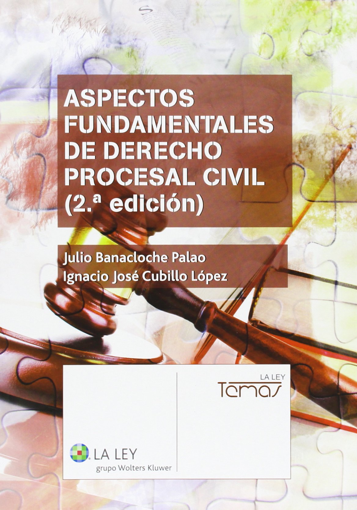 Aspectos fundamentales de Derecho procesal civil (2.ª edición) (Temas La Ley)