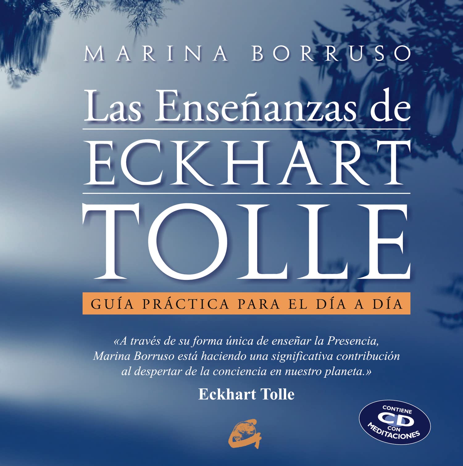 Las enseñanzas de Eckhart Tolle: Guía práctica para el día a día (AUDIO DVD)