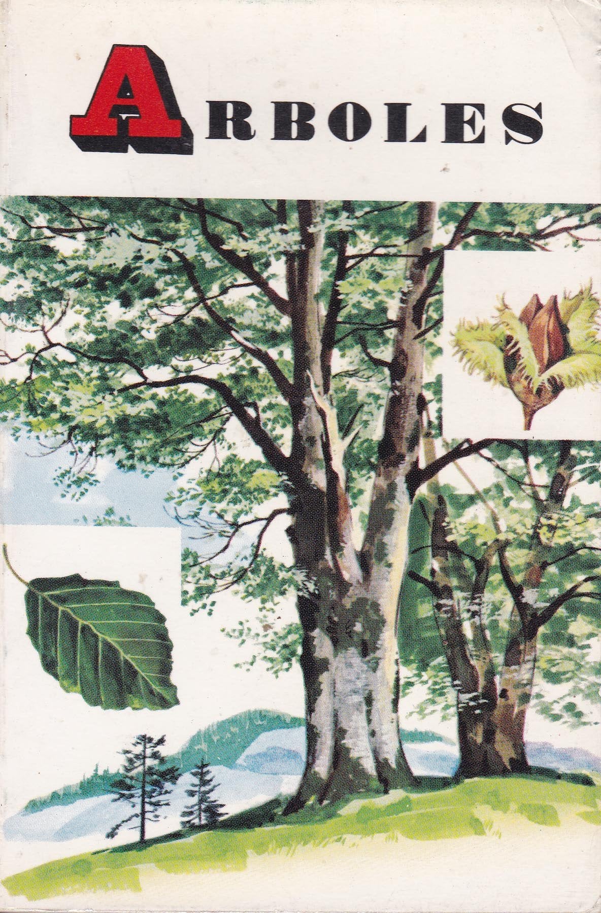 Árboles.