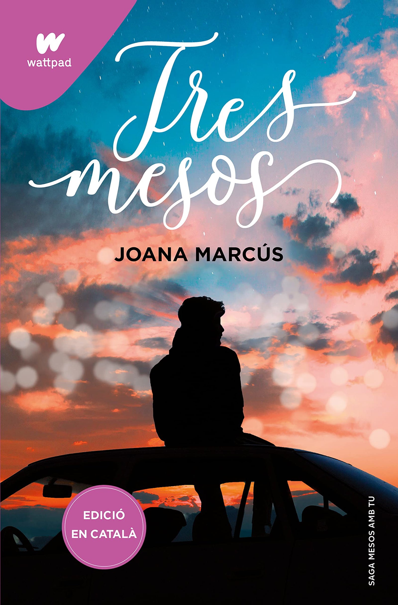Tres mesos (Mesos amb tu 3) (Wattpad)