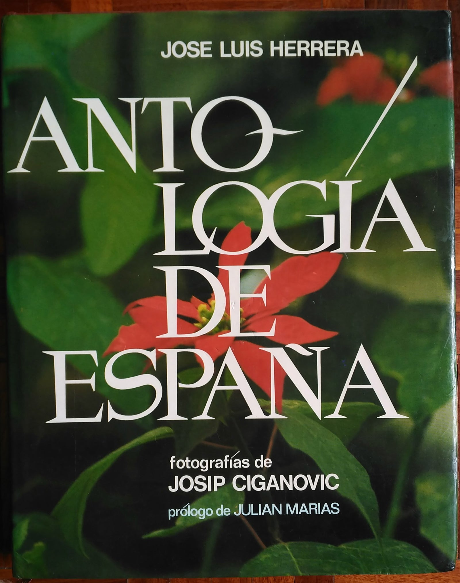 Antología de España / José Luis Herrera ; fotografías de Josip Ciganovic ; [prólogo de Julián Marías]