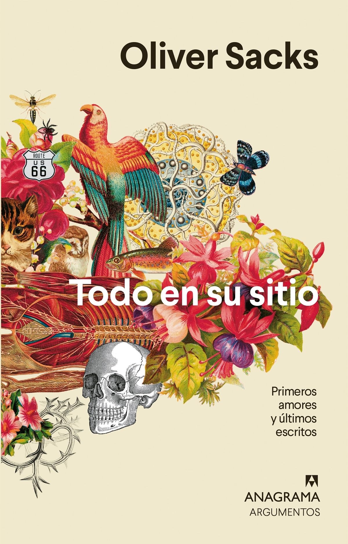 Todo en su sitio: Primeros amores y últimos escritos: 548 (Argumentos)