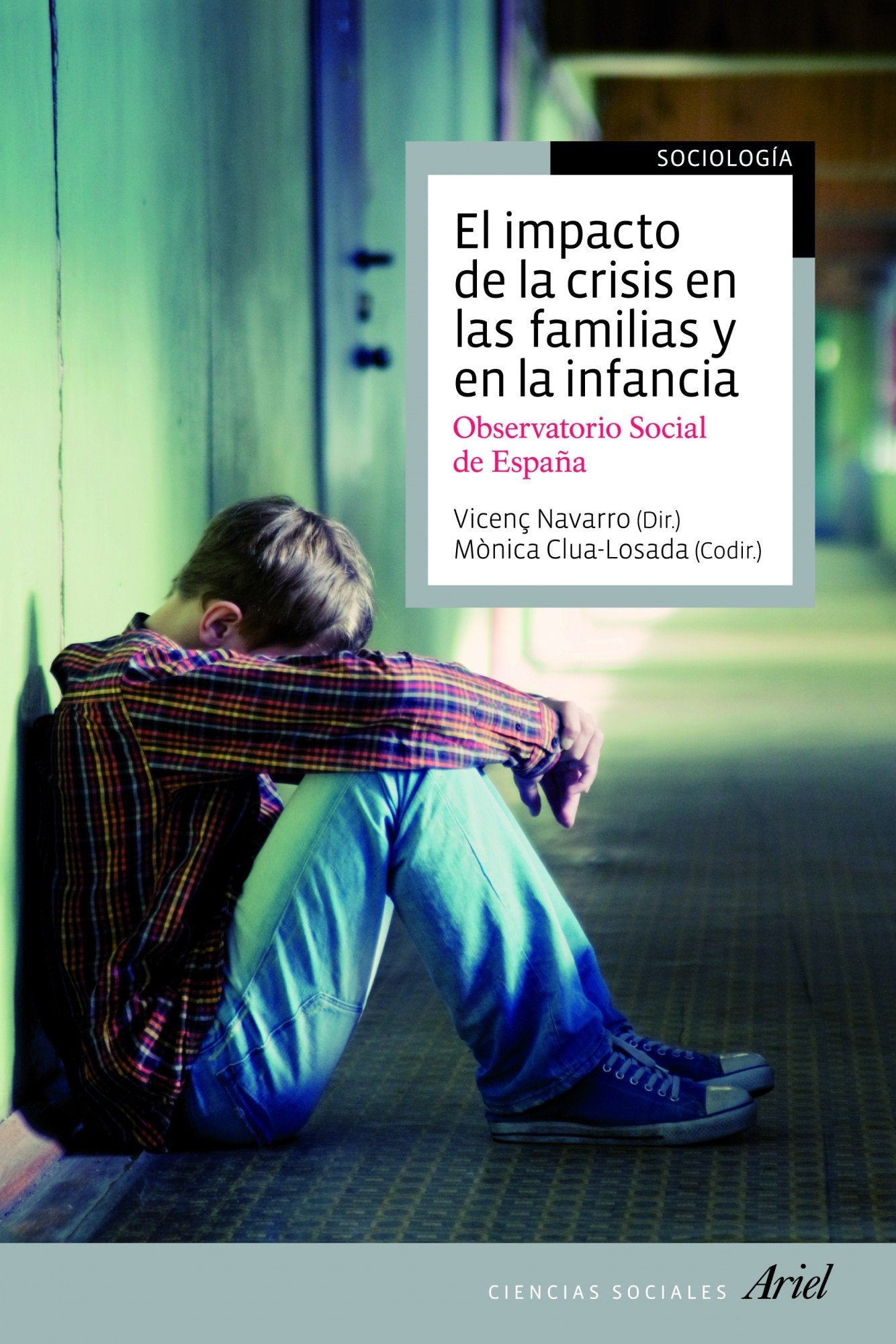 El impacto de la crisis en las familias y en la infancia: Observatorio social de España (Ariel Ciencias Sociales)