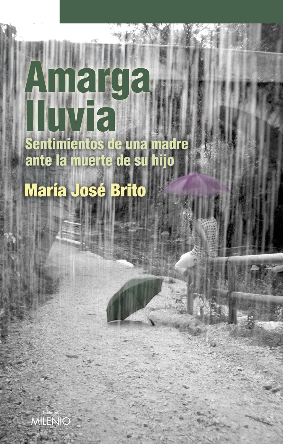 Amarga lluvia: Sentimientos de una madre ante la muerte de su hijo (Narrativa)