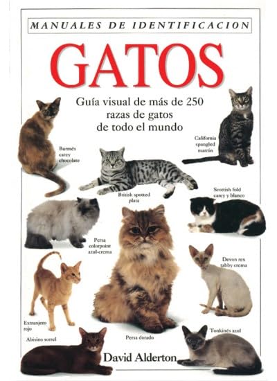 GATOS. MANUAL DE IDENTIFICACION (GUIAS DEL NATURALISTA-ANIMALES DOMESTICOS-GATOS)