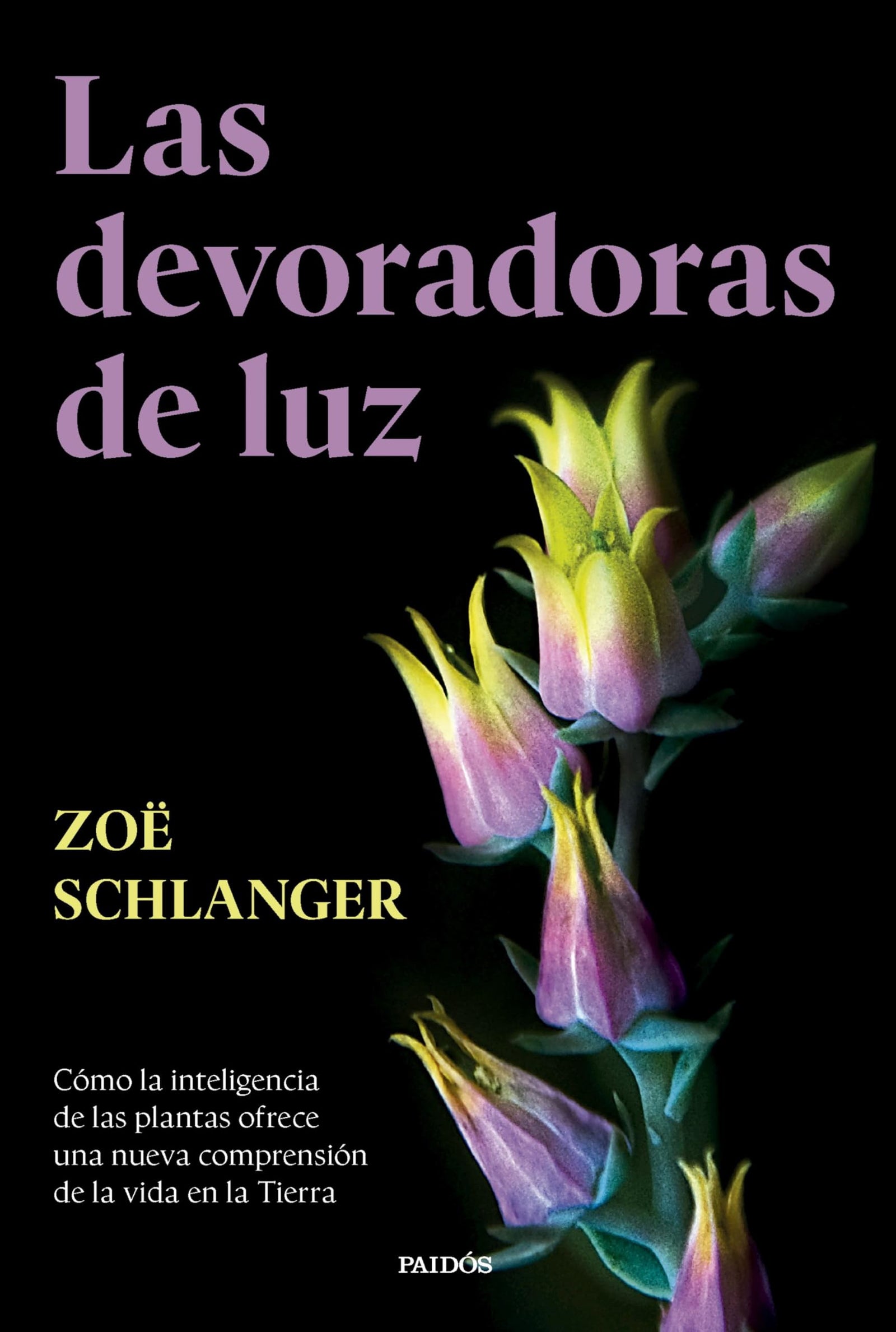 Las devoradoras de luz: Cómo la inteligencia de las plantas ofrece una nueva comprensión de la vida en la Tierra (Contextos)