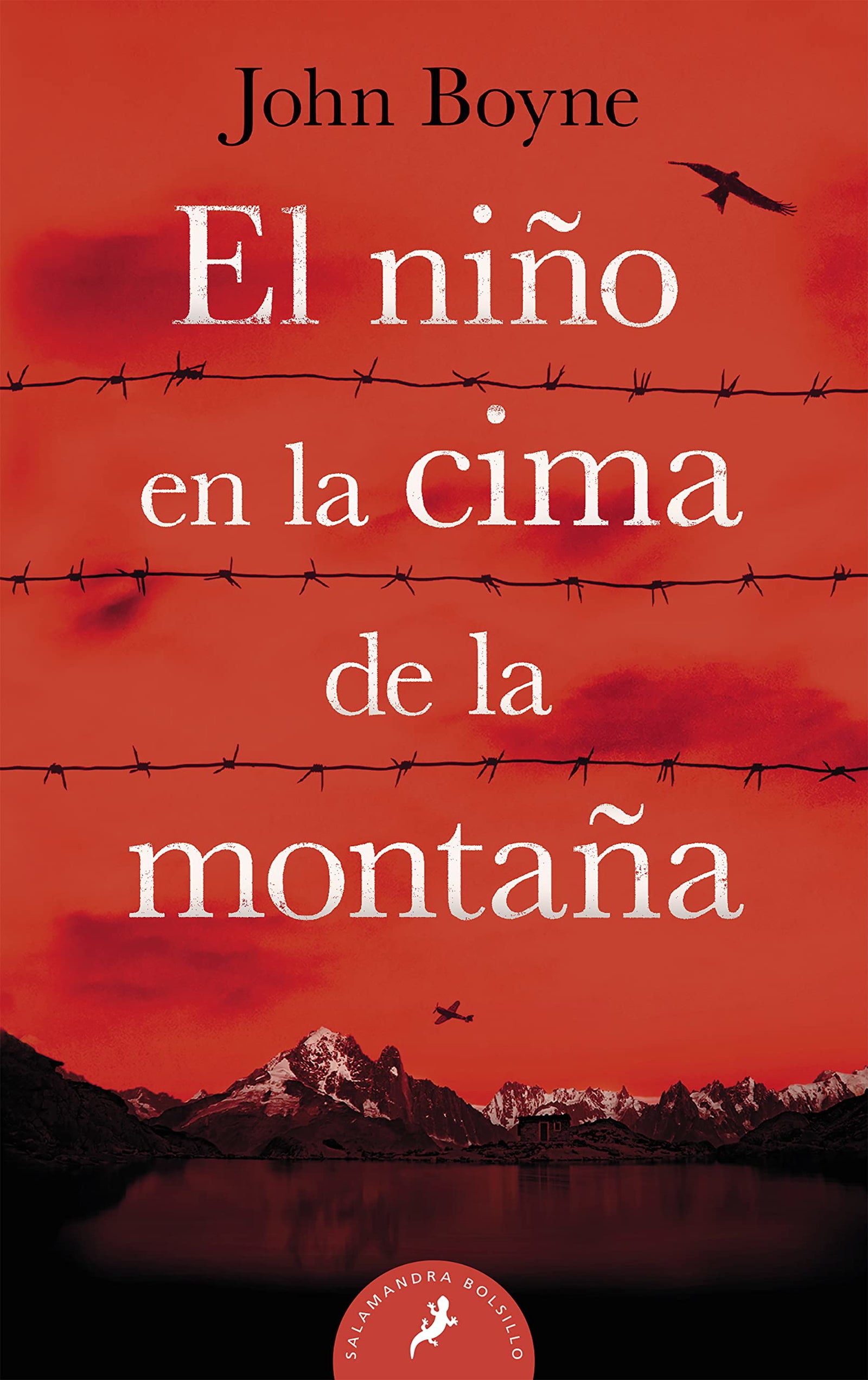 EL NIÑO EN LA CIMA DE LA MONTAÑA -LB- (Salamandra Bolsillo)