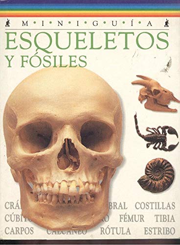 Esqueletos y fosiles minigua
