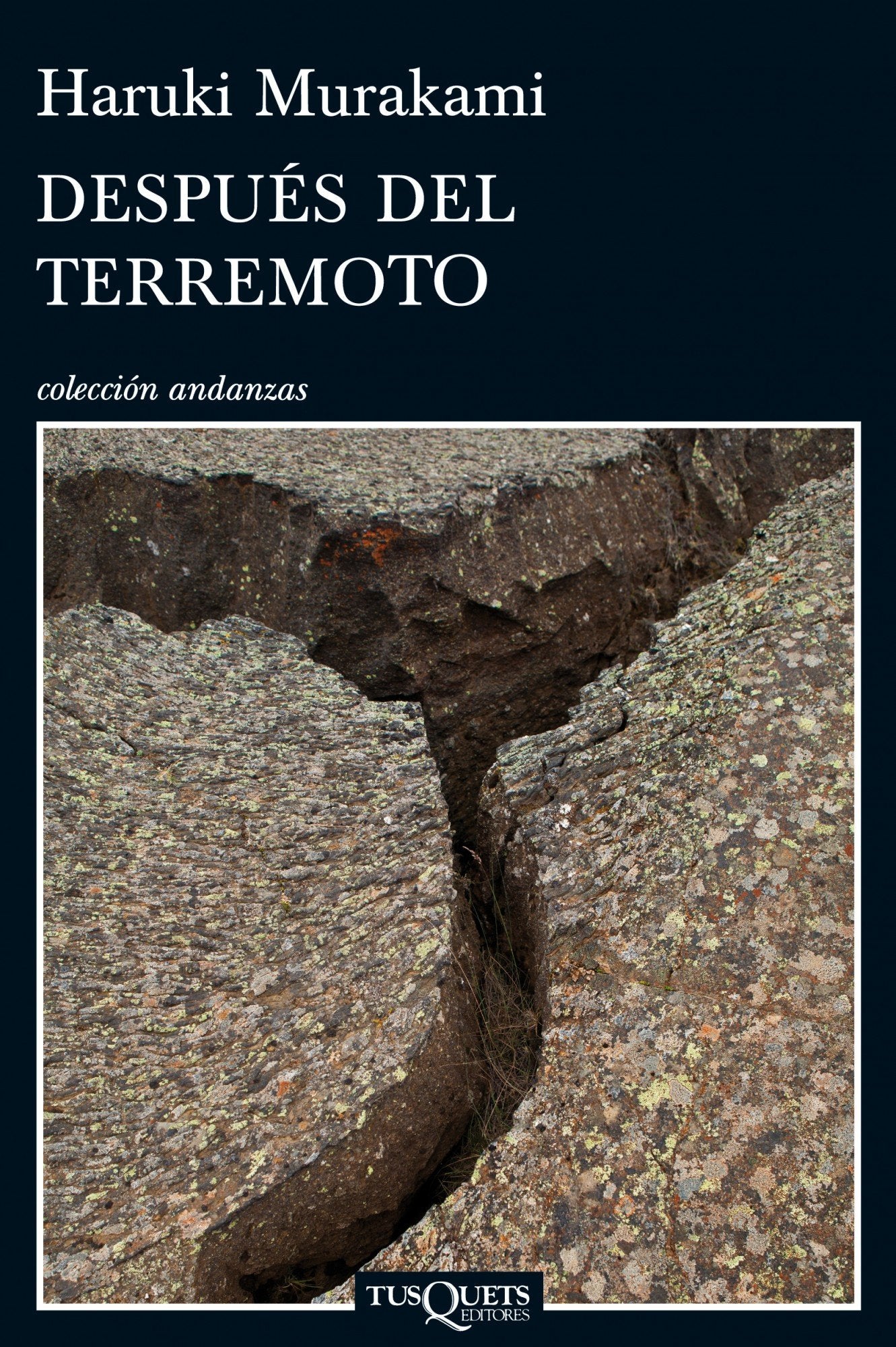 Después del terremoto: 797 (Andanzas)