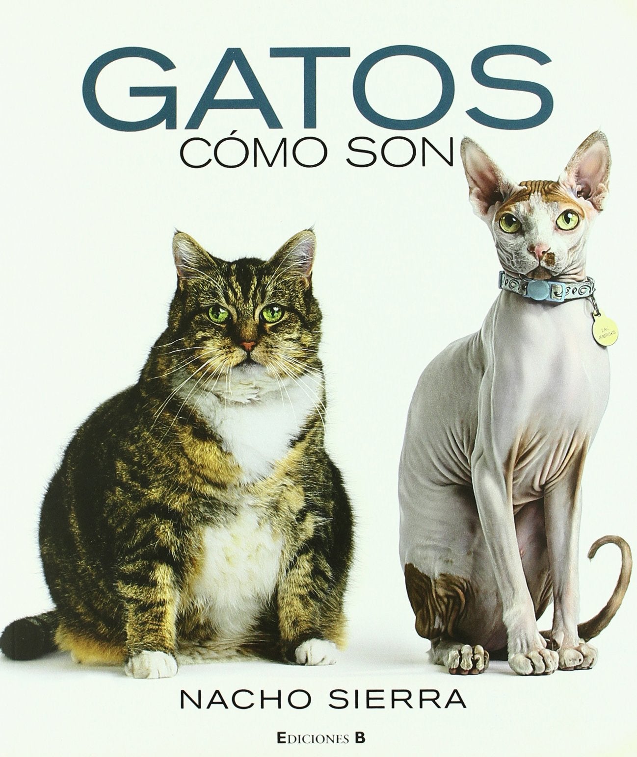 GATOS. COMO SON: 00000 (LIBROS ILUSTRADOS AD)