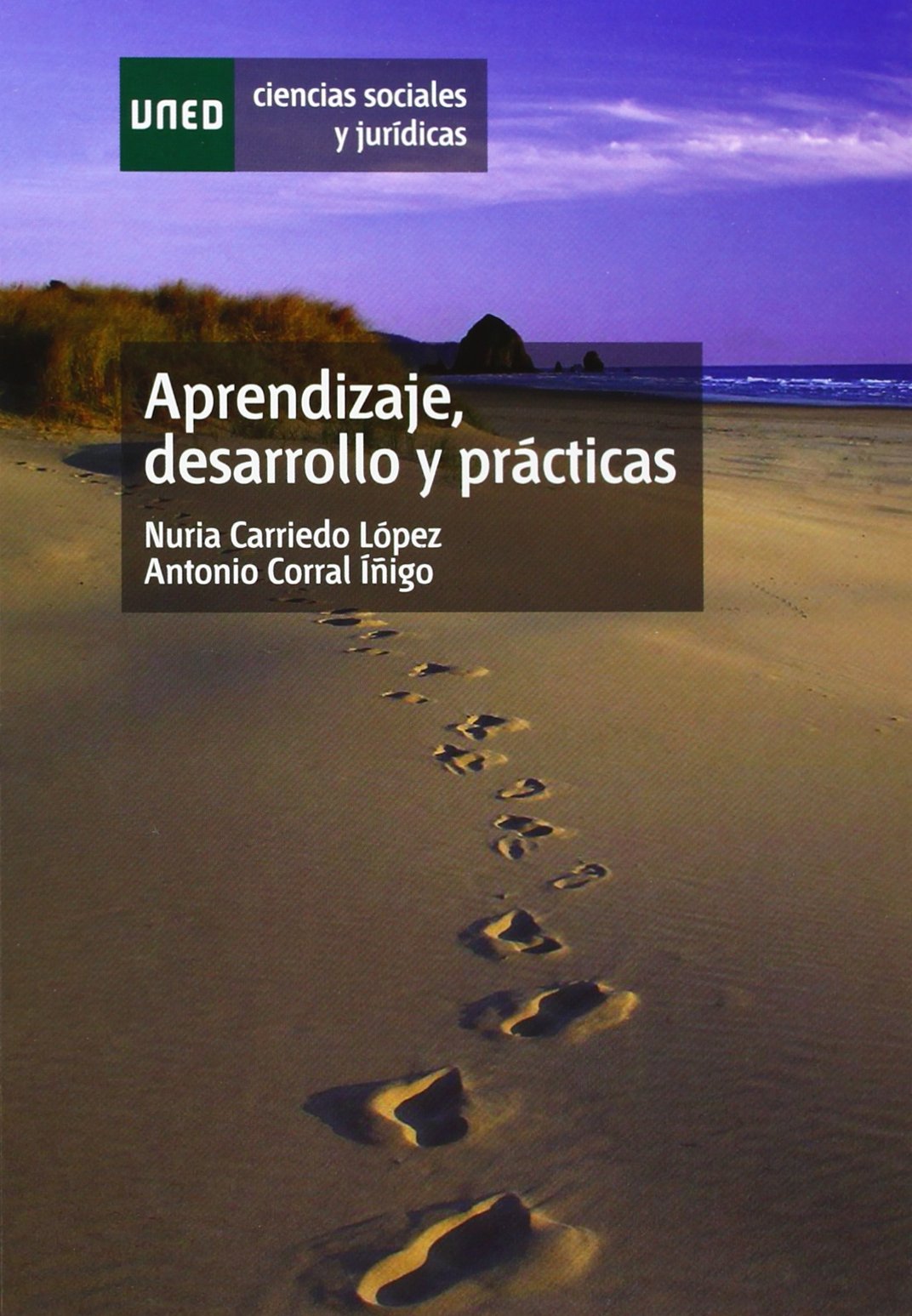 Aprendizaje, desarrollo y prácticas (CIENCIAS SOCIALES Y JURÍDICAS)